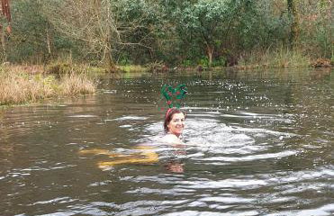 Meadow Bluebird - Foto 5