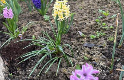 Bieszczady ClaraArt - Foto 58