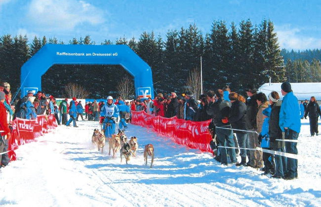 Apartment in Haidmuhle in a Beautiful Area - Foto 25