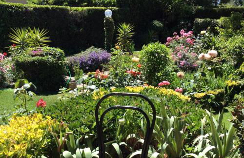 Villa Nanda a 15 minuti da Roma piscina esclusiva , villa nella natura - Photo 10