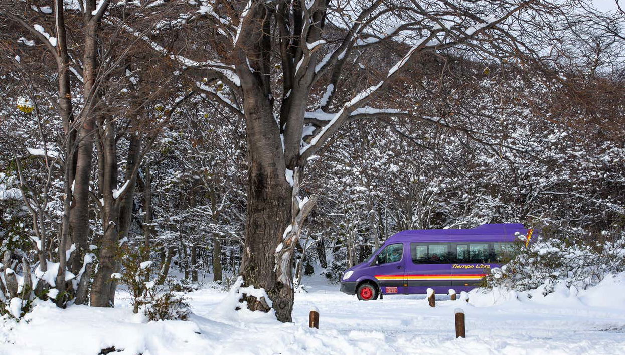 Transfert au Cerro Castor en minibus