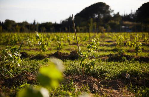 Ola Living Playa del Castell - Foto 56