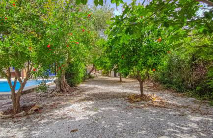 Lemon Tree Villa with Private Pool and Starlink Internet - Foto 19