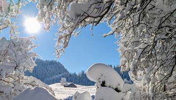 Ferienwohnung Stuimändle - Foto 5