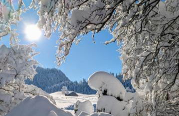 Ferienwohnung Stuimändle - Photo 5