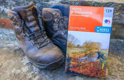 1 Bed in Queen Camel oc-c30506 - Photo 11