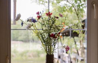 Zawilcowa Dolina - Foto 75