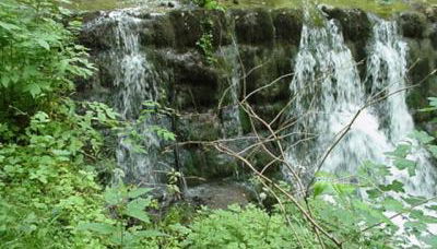 Pension Ochsen, Ferienwohnungen - Foto 4