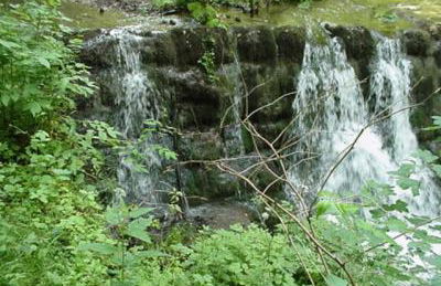 Pension Ochsen, Ferienwohnungen - Foto 4