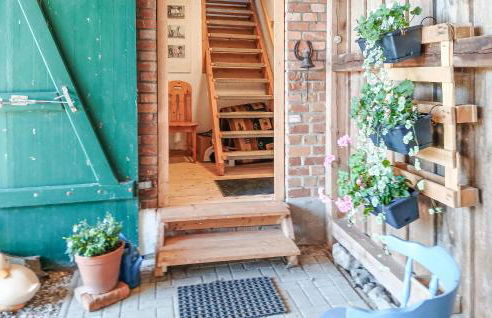 Ferienhof Dobbin - Foto 16