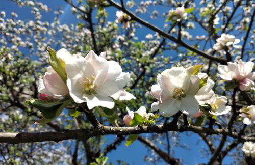 Haus Brigitte - Foto 21