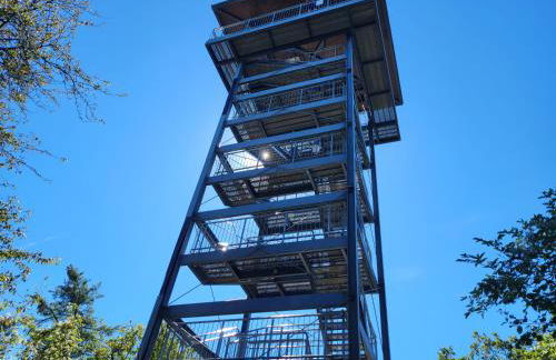 Ferienhaus Am Moselstausee - Foto 35