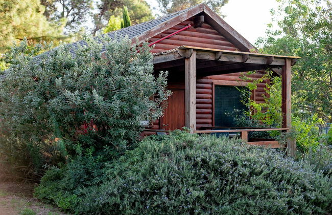 Nofey Habashan - Foto 63