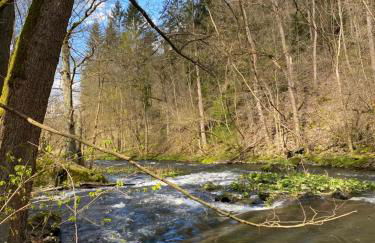 Ferienwohnung Sternenhimmel - Foto 22
