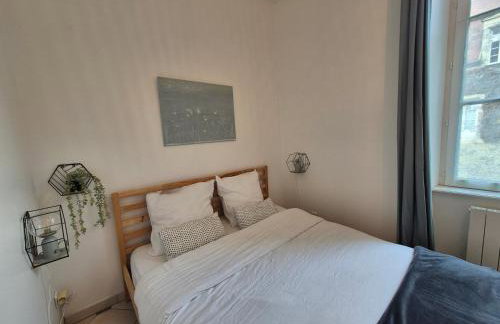 Au plus près du Chateau ! - Foto 6