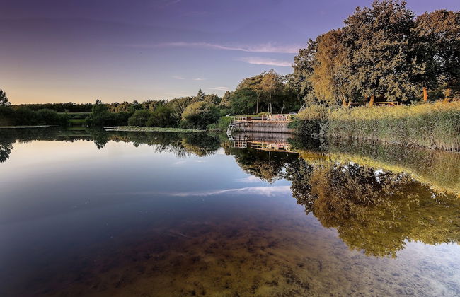 Villa in Ommen With Private Pond - Foto 40