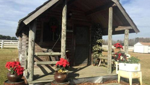 Rustic Cabin Rental on Secluded Farmland near Raleigh, North Carolina - Foto 2