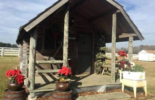 Rustic Cabin Rental on Secluded Farmland near Raleigh, North Carolina - Foto 2
