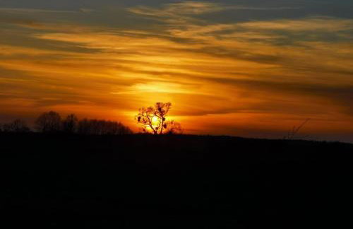 Stara Stolarnia - Foto 12