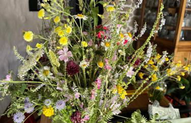 Lanzaroco, tu casa en La Vera - Foto 58