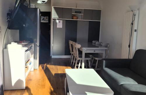 Lumineux 2 pièces vue montagne au pied des pistes avec parking privé - Foto 7