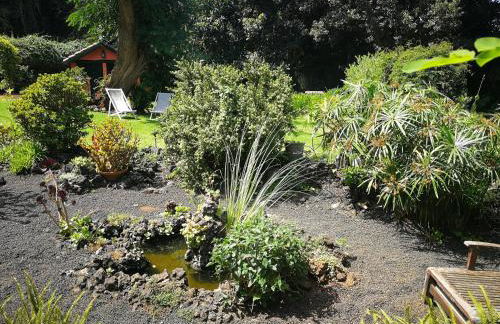 Jardines de Hortensia - Vacation home Tenerife - Foto 26