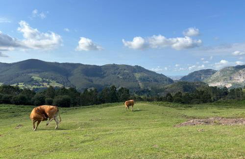 El Refugio de los Corrales - Foto 66