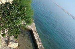 Apartments Marija - Foto 13