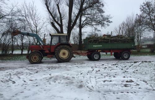 Ferienhof Schulz - Foto 14