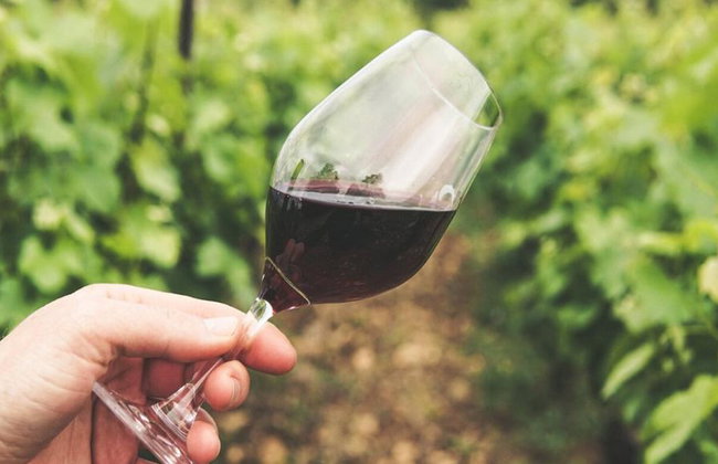 Winery Tour, Tasting & Lunch - Photo 2