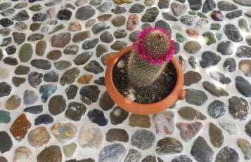 Garden house - Photo 41