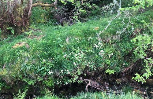 Coverdale cottage - Photo 65