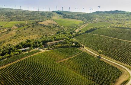 Maison - piscine - Vue vignobles coeur de nature - Foto 12