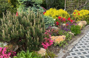 Wiśniowy Sad - Foto 42