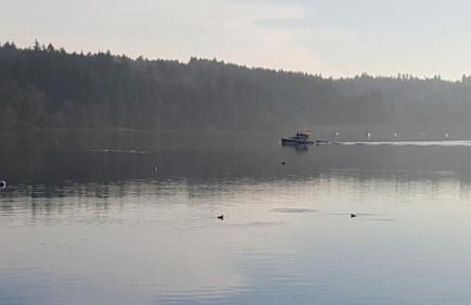 Charming Beach Cabin in Quartermaster Harbor - Foto 33