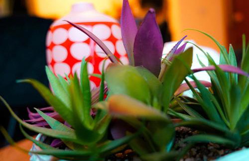 Eagle homely apartment - Foto 19