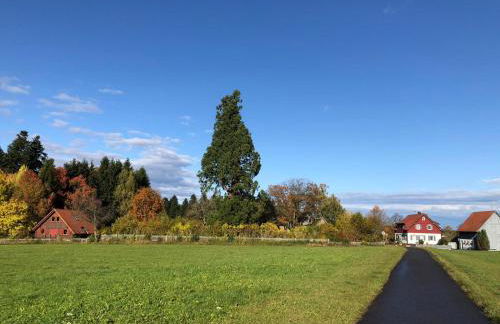 Feriendomizil Nordschwarzwald - Foto 43