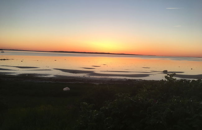 "fjordhus - on an Island Shaped as a Hart in the Middle of Isefjord - Sealand" - Foto 42