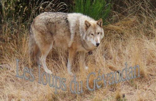 Gîte au calme pleine nature près d'un ruisseau - Foto 42