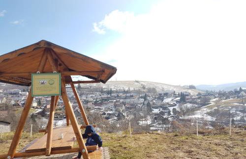 Villa im Harz - Deluxe Appartment - Frühstück, Halbpension buchbar - Foto 43