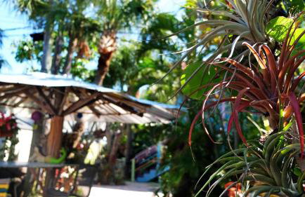 BeachPoint Cottages - Foto 44