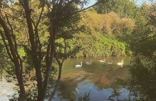 Canal view 2 bedrooms end of terrace - Foto 80