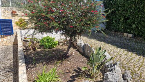 Casa dos Imos - Foto 3