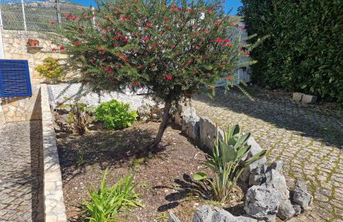 Casa dos Imos - Foto 3