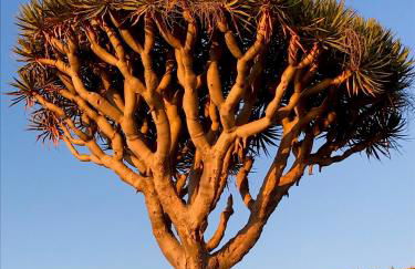 Villa con piscina climatizada y vistas al mar - Foto 78