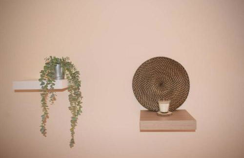 O DRAGOEIRO da Madalena! - Foto 18