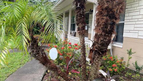 Centrally Located Pet-friendly peaceful home - Foto 3