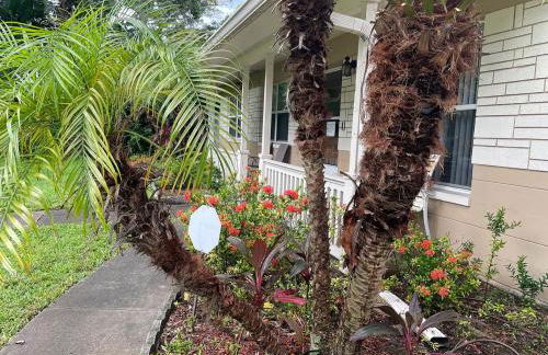 Centrally Located Pet-friendly peaceful home - Foto 3