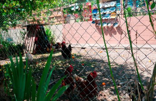 Imperio de Memorias - Casa de Campo - Foto 26