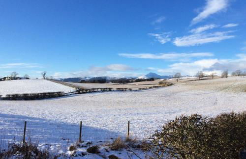 Garden Studio for Two - Foto 29